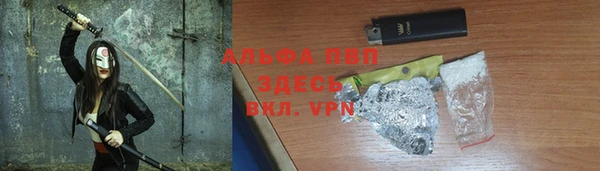 прущий лед Богданович
