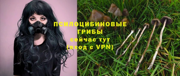 mix Богородицк