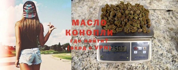 прущий лед Богданович