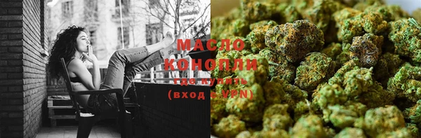 прущий лед Богданович