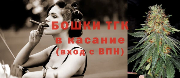 mix Богородицк