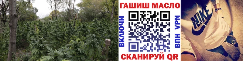 блэк спрут ссылки  Мончегорск  ТГК THC oil 