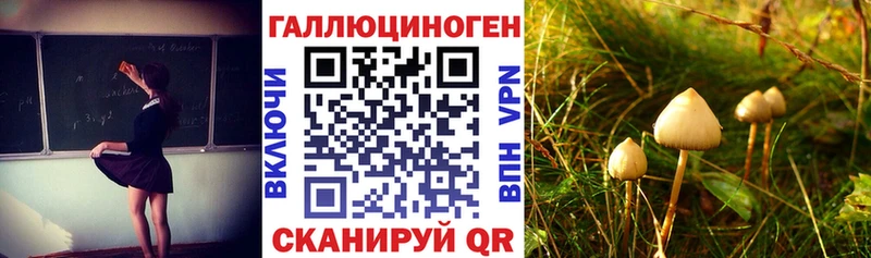 Галлюциногенные грибы Cubensis  купить наркоту  Мончегорск 